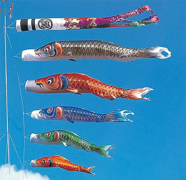 鯉のぼり 5m/8点セット