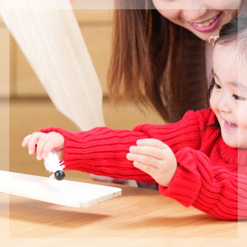 羽子板のイメージ